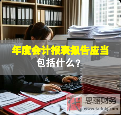 年度會計報表報告應當包括什么？