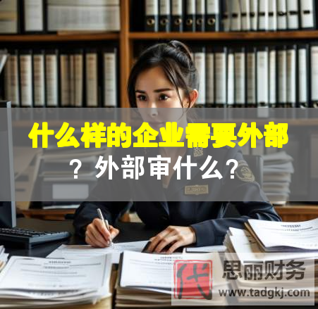 什么樣的企業(yè)需要外部？外部審什么？