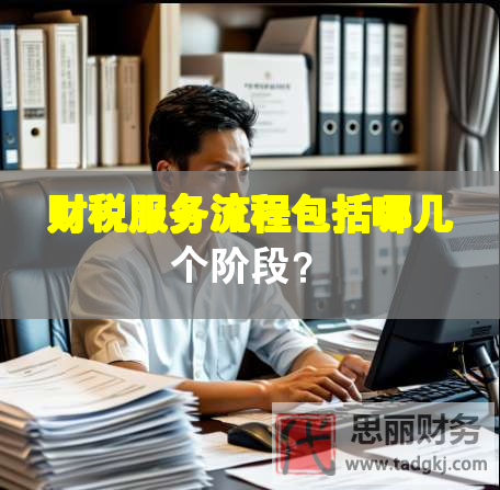 財(cái)稅服務(wù)流程包括哪幾個(gè)階段？
