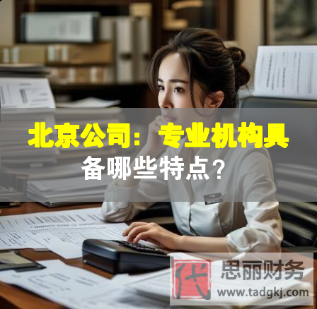 北京公司：專業(yè)機(jī)構(gòu)具備哪些特點(diǎn)？