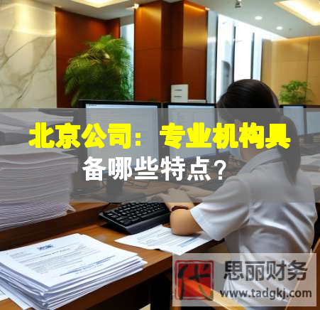 北京公司：專業(yè)機(jī)構(gòu)具備哪些特點(diǎn)？