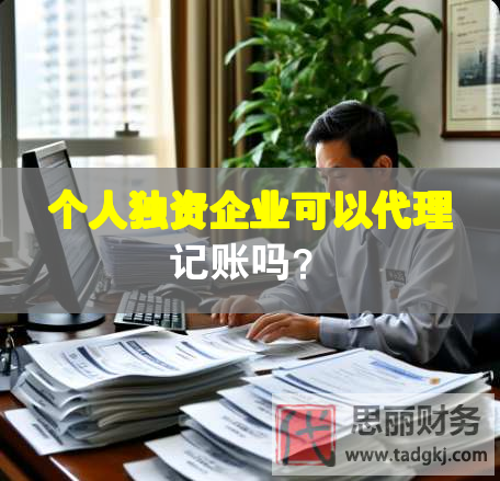 個(gè)人獨(dú)資企業(yè)可以代理記賬嗎？