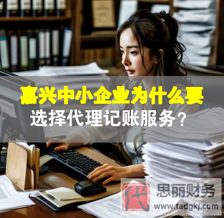 嘉興中小企業(yè)為什么要選擇代理記賬服務(wù)？