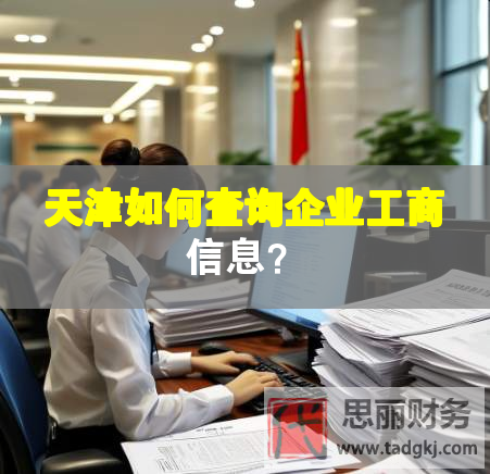 天津如何查詢企業(yè)工商信息？
