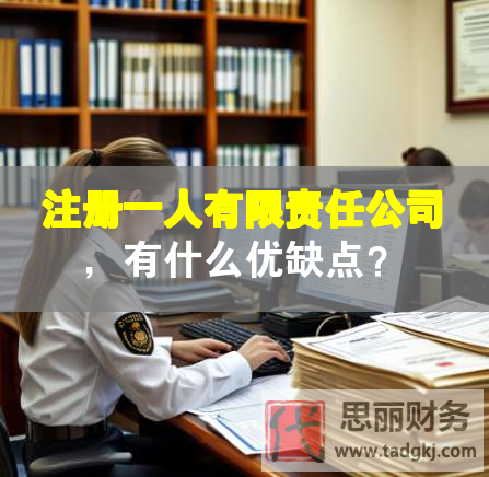 注冊一人有限責任公司，有什么優(yōu)缺點？