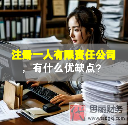 注冊一人有限責任公司，有什么優(yōu)缺點？