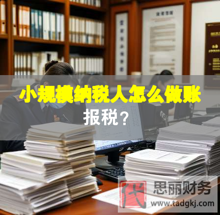 小規(guī)模納稅人怎么做賬報稅？