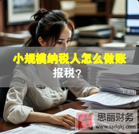 小規(guī)模納稅人怎么做賬報稅？