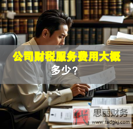 公司財稅服務(wù)費用大概多少？