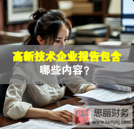 高新技術(shù)企業(yè)報(bào)告包含哪些內(nèi)容？