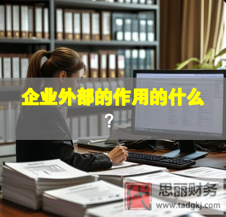 企業(yè)外部的作用的什么？