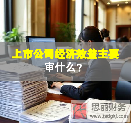 上市公司經(jīng)濟(jì)效益主要審什么？