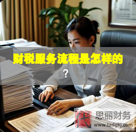 財(cái)稅服務(wù)流程是怎樣的？