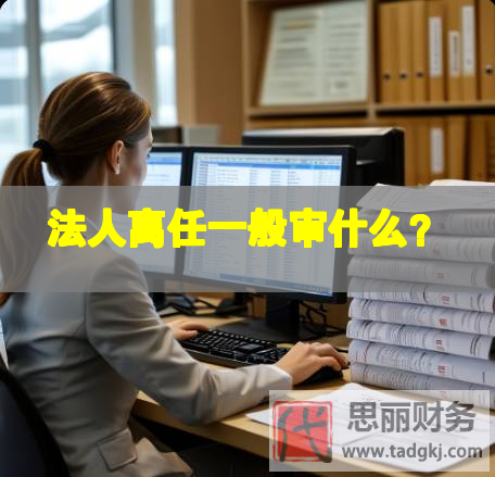 法人離任一般審什么？