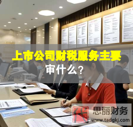 上市公司財稅服務(wù)主要審什么？