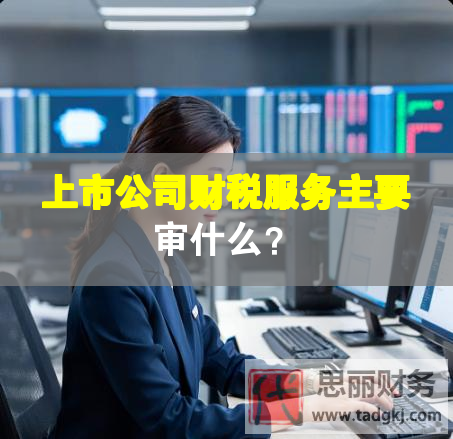 上市公司財稅服務(wù)主要審什么？