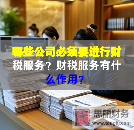 哪些公司必須要進行財稅服務(wù)？財稅服務(wù)有什么作用？