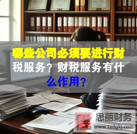 哪些公司必須要進行財稅服務(wù)？財稅服務(wù)有什么作用？