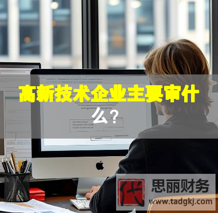 高新技術(shù)企業(yè)主要審什么？