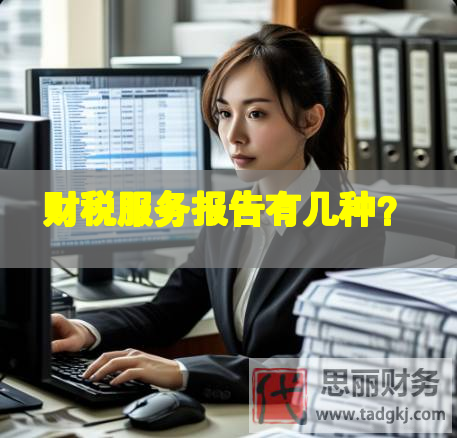 財稅服務報告有幾種？