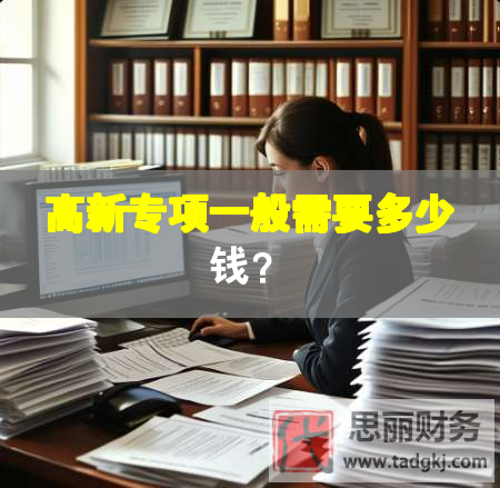 高新專項一般需要多少錢？