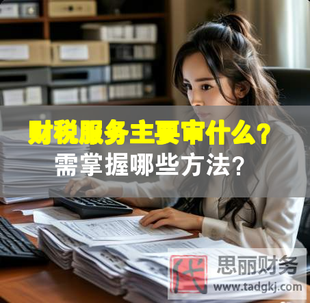 財(cái)稅服務(wù)主要審什么？需掌握哪些方法？