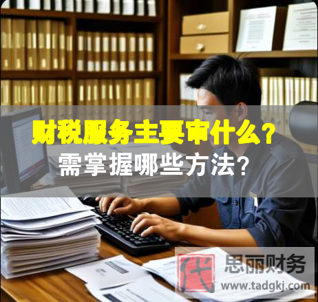 財(cái)稅服務(wù)主要審什么？需掌握哪些方法？