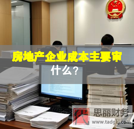 房地產(chǎn)企業(yè)成本主要審什么？
