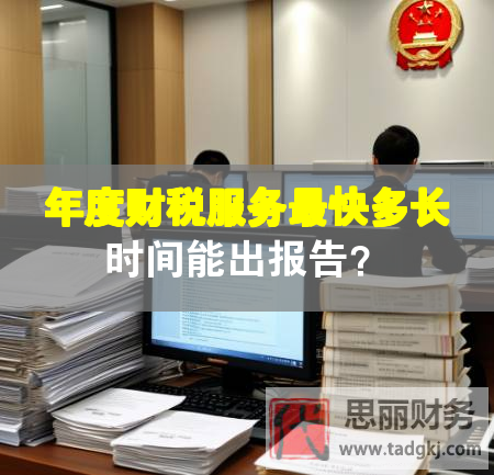 年度財稅服務(wù)最快多長時間能出報告？